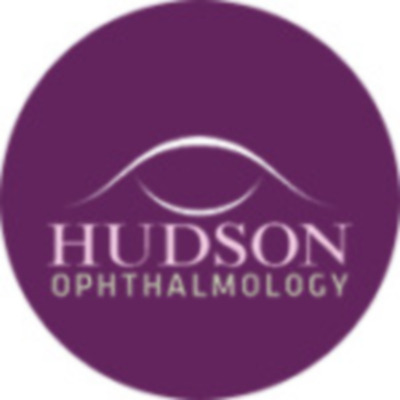 hudson eyes&thinsp;