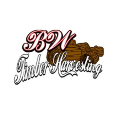 BW Timber Harvesting 