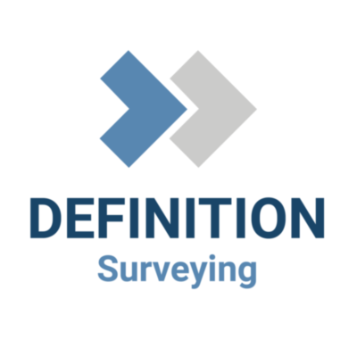 Definition Surveying&thinsp;