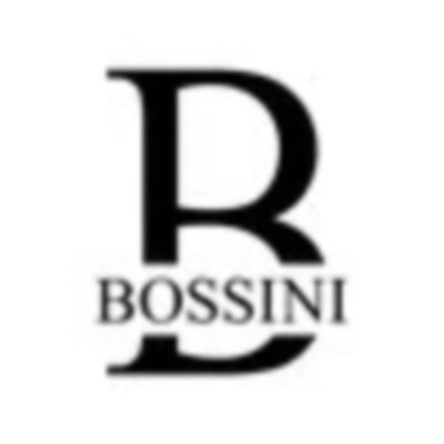 Bossini USA 