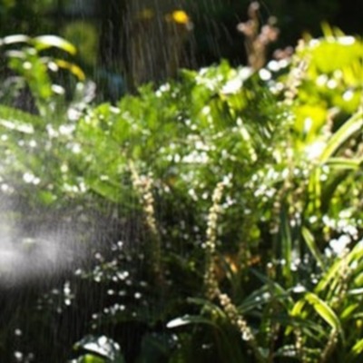 Mosquito Misters Systems 