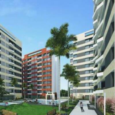 Prestige Evergreen 
