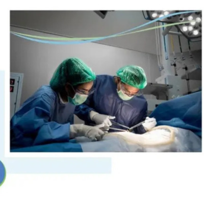 obstetrics and gynecology 