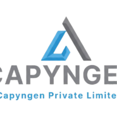 capyngeyn PVT&thinsp;