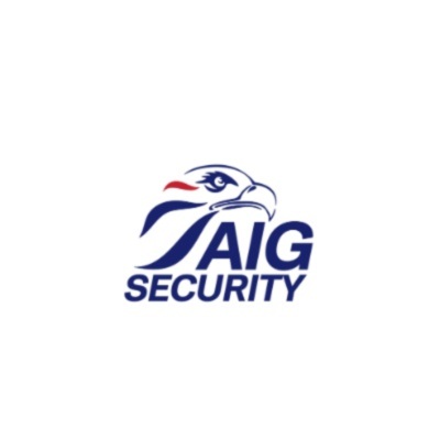 AIG Security&thinsp;