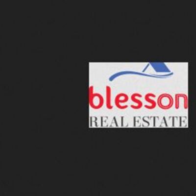 Blesson Real Estate&thinsp;
